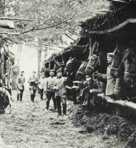 Stable of German cavalry in St. Mihiel, Lorraine