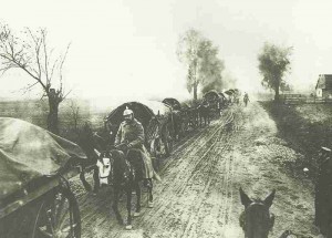 Transport column of German Ninth Army