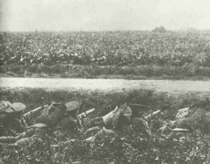 British infantry takes cover 1914