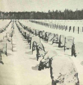 Russian-Finnish border with anti-tank obstacles