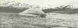 capsized battleship 'Tirpitz'