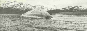 capsized battleship 'Tirpitz' 