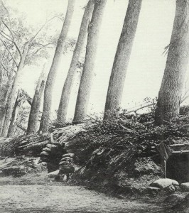 French position in  Flanders