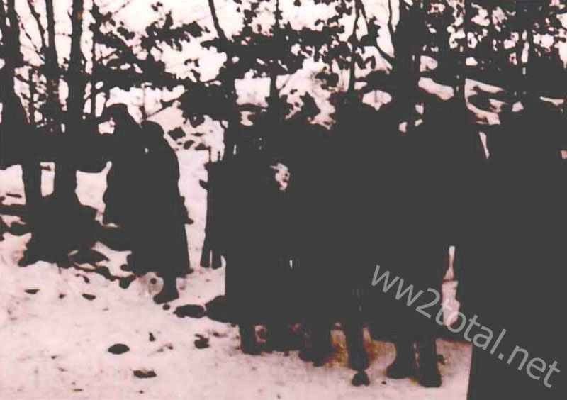 German soldiers in the snow of a forest