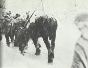  winter war in the Ardennes