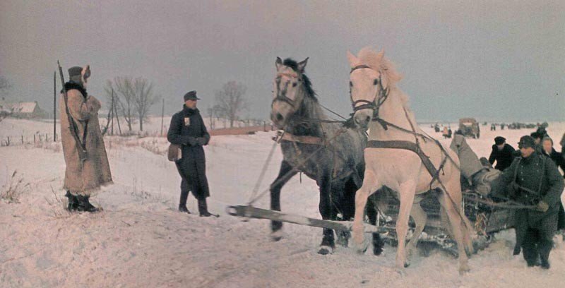 refugee trek in Eastern Germany