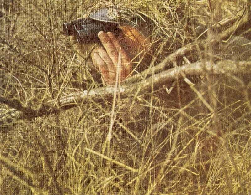 Camouflaged German observer