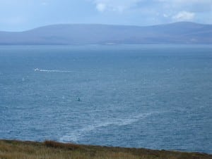 wreck of the 'Royal Oak' 