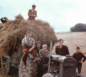 German PoWs as  helpers in haymaking 