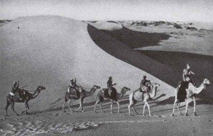 Italian Camel-mounted troops