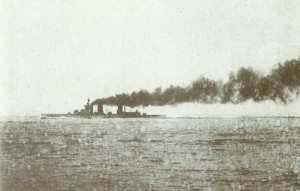 Lion at Jutland