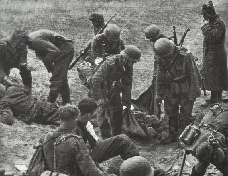 dead and wounded at Kursk