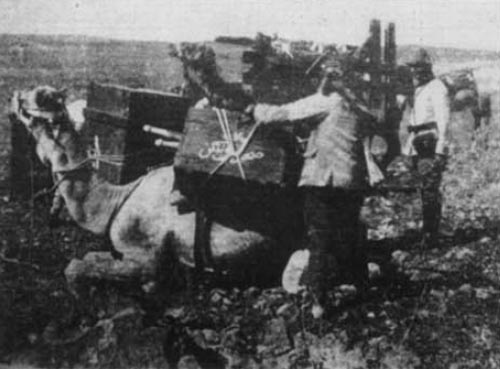 Ottoman camle transport 1