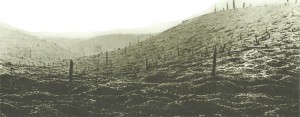 Le Mort Homme ('Dead Man') Ridge at Verdun 