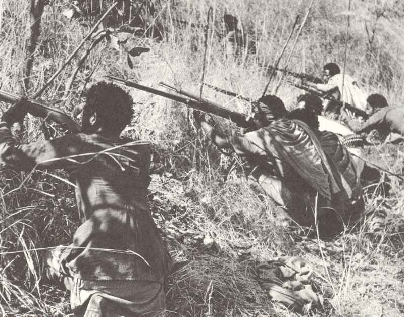 Ethiopian guerillias are shooting on an Italian fort.