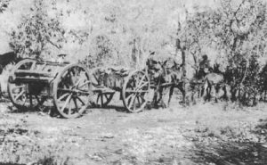 13-pounder gun of the South African Mounted Rifles