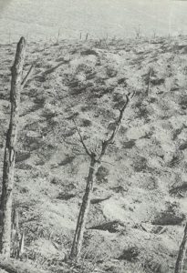  soil of Verdun