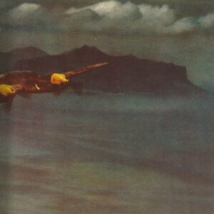 Me 110 heavy fighters fly off the African coast