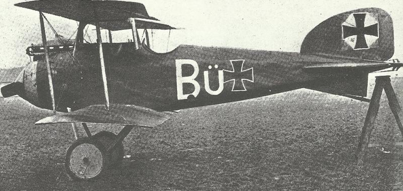 Albatros D1 1