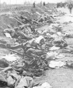 Romanian dead in the Battle of Kronstadt