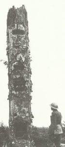 observation post disguised as a shell-blasted tree stump