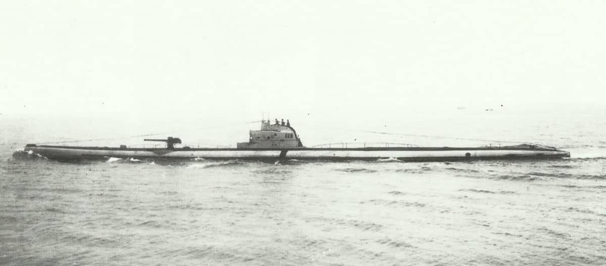 U-81