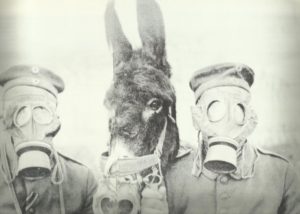 Gasmask for men and donkey