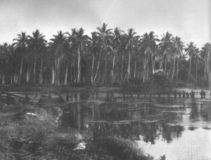 US Marines fighting patrol  Guadalcanal