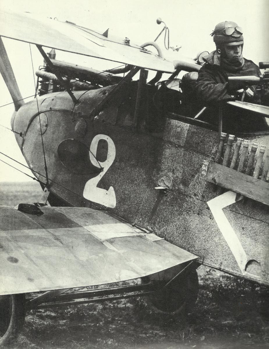 rear gunner of a Halberstadt CLII ground-attacker