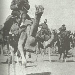 Australian and NZ troops of the Desert Mounted Corps