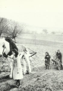 Women and children plowing in France