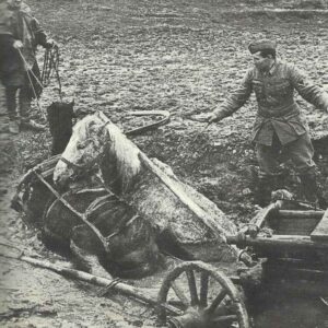 terrible conditions in the mud of Russia