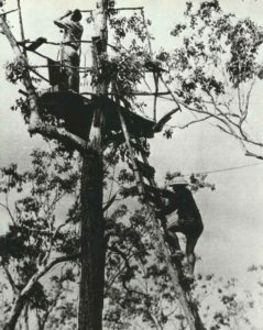 Air raid observers Australia