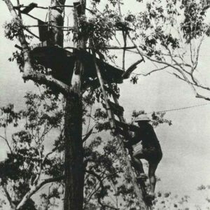 Air raid observers Australia