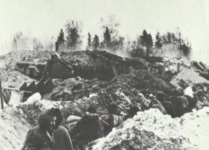 German defensive position against the Russian Narwa bridgehead.