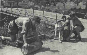 German bridge blasting during retreat from southern Italy