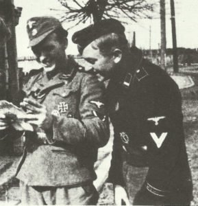 NCOs of the Wiking Division in 1943