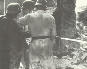 Luftwaffe soldiers deployed as firefighters 