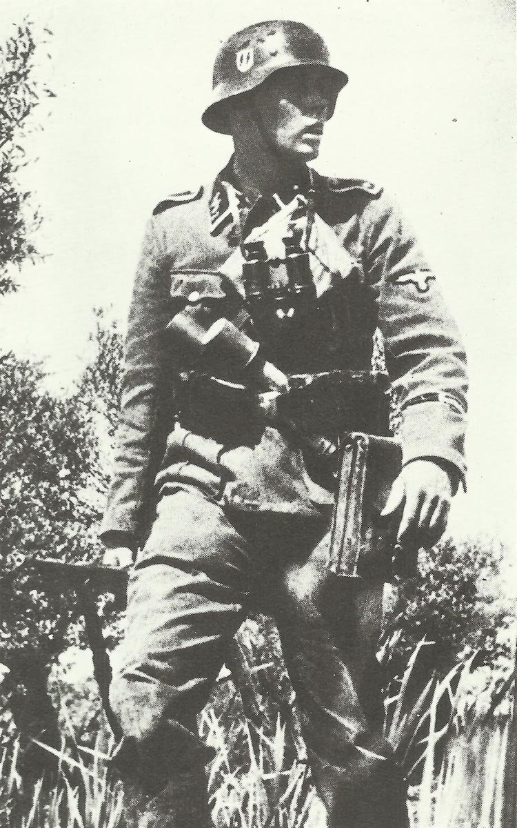 57 best images about Waffen 5th SS Panzer Division Wiking 