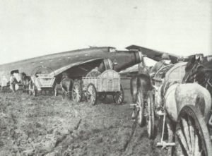 Italian Savoia-Marchetti transport aircraft taken over by the German Luftwaffe 