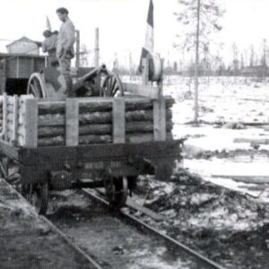 French light unarmored train with 75mm field gun in North Russia