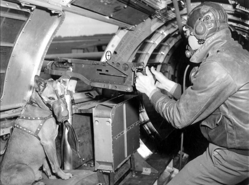 gunner of a B-17