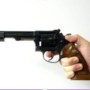 The Smith & Wesson Victory Model